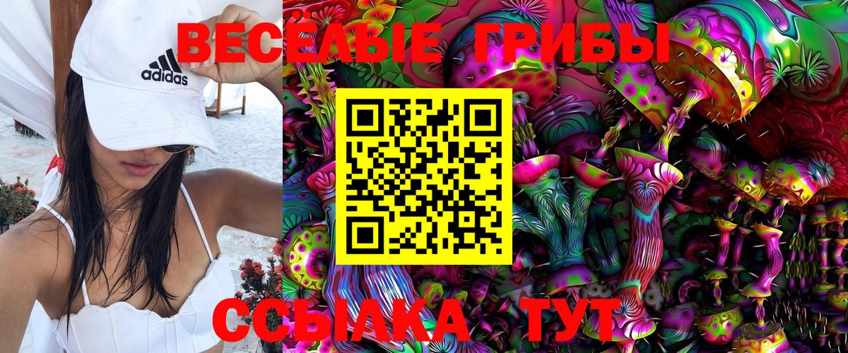 где найти   Вход с VPN  Санкт-Петербург  Галлюциногенные грибы Magic Shrooms 