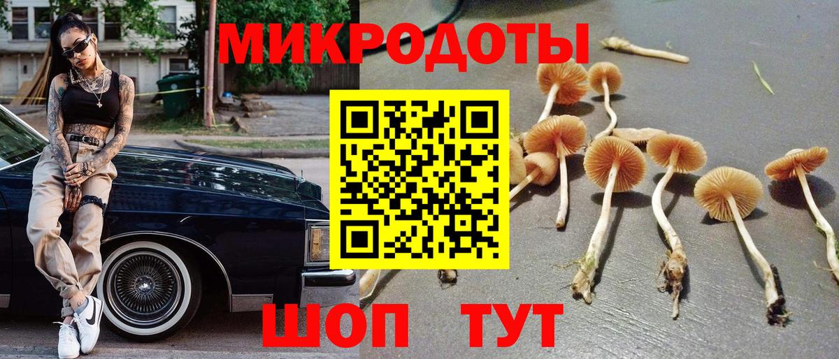 Псилоцибиновые грибы прущие грибы Санкт-Петербург