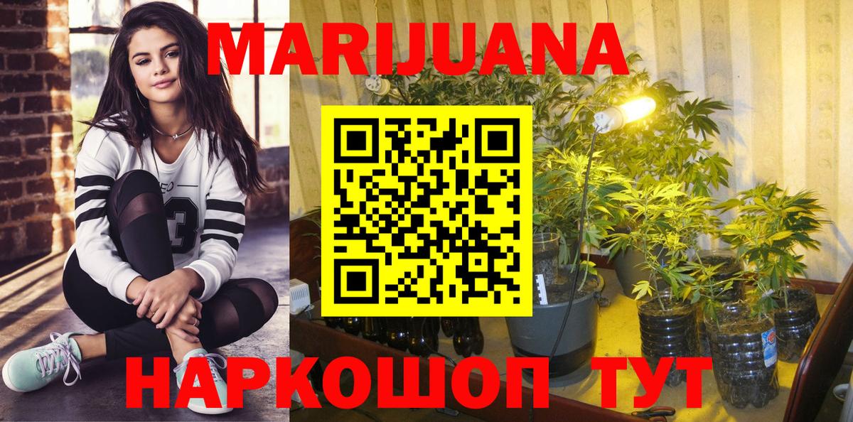 Марихуана семена  Бошки Шишки White Widow  Вход с VPN  Санкт-Петербург  Каннабис сатива 